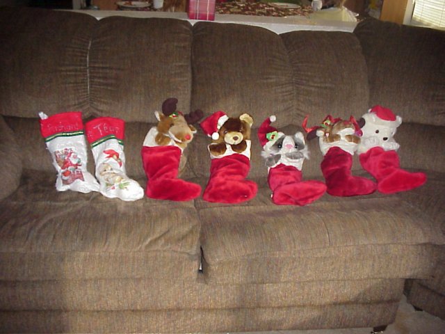 christmasmorningstockings.jpg